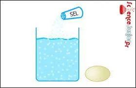Pourquoi, dans un verre d'eau salée, un oeuf flotte-t-il ?