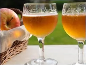 Le pays d'Auge est une région privilégiée que l'on peut traverser en suivant une route. De quelle route parle-t-on et comment est-elle balisée ?