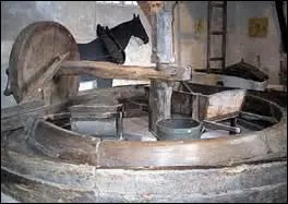 Où irez-vous pour découvrir tous les secrets de cette boisson ?