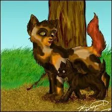 Quelles personnes ont été les mentors de Nuage de Poussière ?