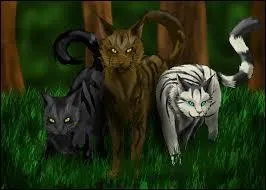 Quel est le trio de traîtres ?