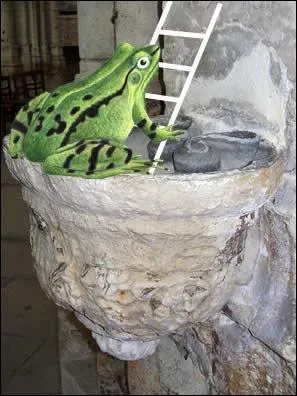 Qu'appelle-t-on une "grenouille de bénitier" ?
