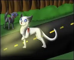 Pelage de Neige meurt-elle ? Si oui, Comment ?