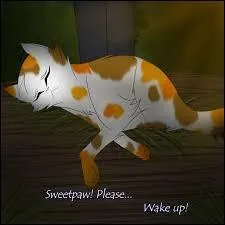 Qui a tué Nuage de Mousse ?