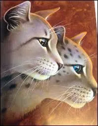 Qui est Plume d'Oie ?