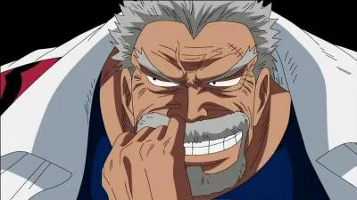 Son grand-père aussi, Monkey D. Garp, est connu des habitants du monde de One Piece, mais il travaillait pour la Marine. Quel poste occupait-il avant sa démission ?