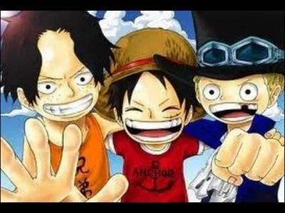 Luffy a fait un pacte de sang avec ses deux meilleurs amis, qu'il considère maintenant comme ses frères de sang. Qui sont-ils ?