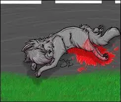 Quel accident lui arrive-t-il/elle ?