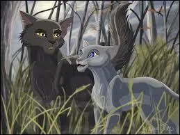 Que devient-il/elle ?