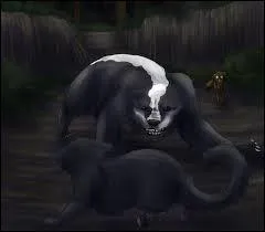 Comment meurt-elle ?