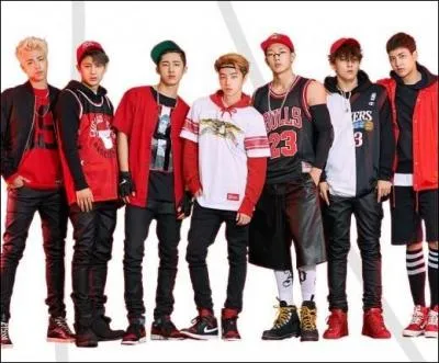 Ces sept garçons forment le groupe...