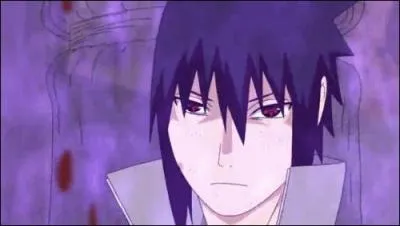 Quel âge a Sasuke dans "Naruto Shippuden" ?