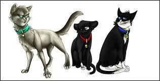 Qui compte-t-il comme frère(s) ou sur(s) ?