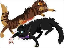 Ce personnage est un personnage qu'il a rencontré, meurt-il ?