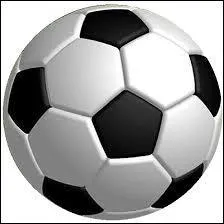 L'araignée "Dame blanche" du désert a trouvé une technique imparable pour échapper à son ennemi intime, une guêpe parasitaire qui veut absolument la paralyser pour pondre ses oeufs dans son corps !