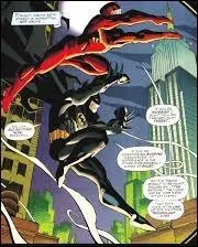 Ce héros travaille fréquemment en étroite collaboration avec un certain James Gordon, commissaire de police :