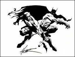 Ce super-héros fait régner la justice à New York :