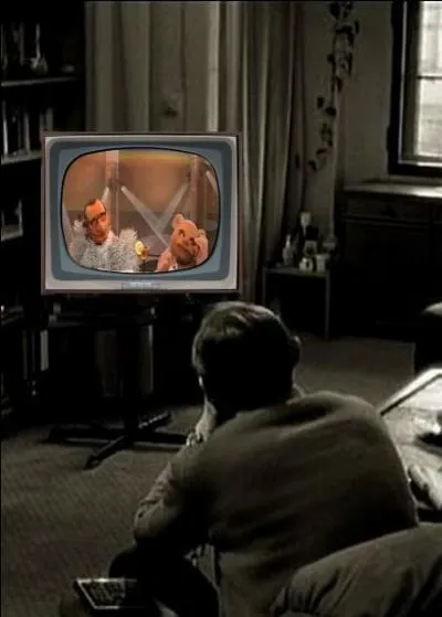 Que regarde cet homme à la télévision ?