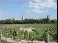 A Auxerre on peut faire les vendanges du plus ancien vignoble répertorié en France, bénéficiant d'une AOC, en plein centre-ville. Qui en est le propriétaire ?