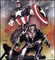 Ce héros est également connu sous le nom de "Serval". Cela concerne :