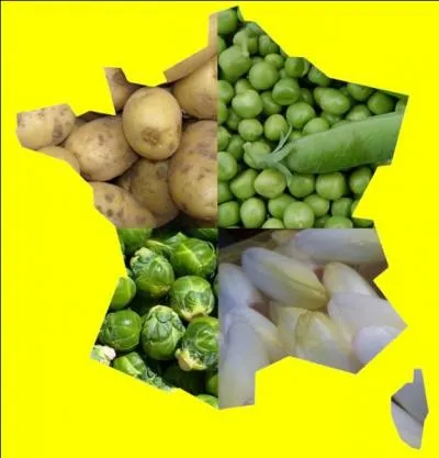 Quelle région est le premier producteur français de petits pois, de choux de Bruxelles, d'endives et de pommes de terre  ?