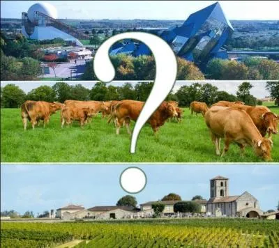 Avec ses 84000 km², cette région deviendra la plus grande du territoire français...