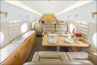 Cette personne-là a un certain goût... Mais dépenser 60 millions de dollars, ça tourne carrément pas rond, non ?