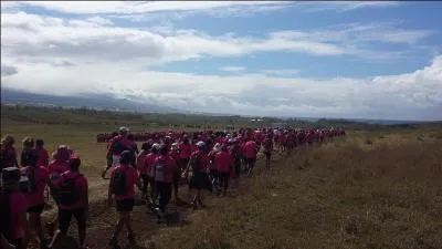 Pourquoi y a-t-il des marcheurs habillés d'un t-shirt rose, ce que les journalistes appellent "la vague rose" ?