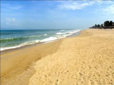 En 1989, qui chantait "Seul sur le Sable" ?