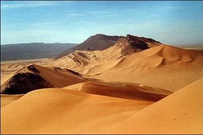 Un violon sur le sable est un...