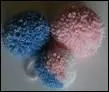 Comment dit-on "pompon" en anglais ?