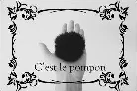 Si je vous dis que c'est le pompon...