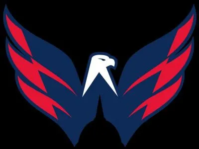 Quelle est cette équipe de hockey ?