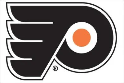 Quelle est cette équipe de hockey ?