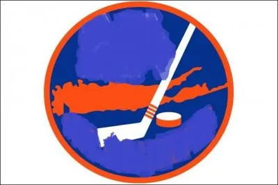 Quelle est cette équipe de hockey ?