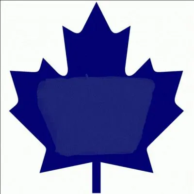 Quelle est cette équipe de hockey ?