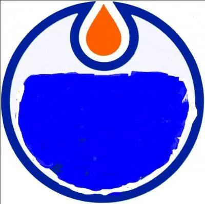 Quelle est cette équipe de hockey ?