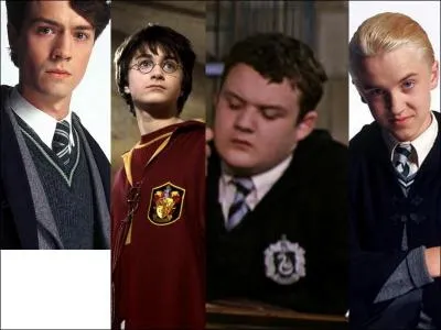 Dans "Harry Potter et la Chambre des secrets", on croit que je suis l'héritier de Serpentard mais je ne le suis pas, j'ai été choisi pour être l'attrapeur de Quiddich de ma maison, mais je n'ai pas été choisi pour mon talent.
Qui suis-je ?