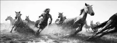 Sur cette image, vous pouvez voir un centaure avec des chevaux.