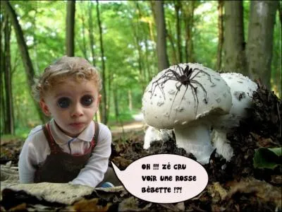 Un indice : Il prend la mouche !