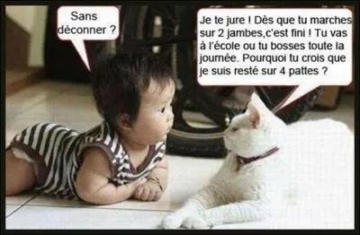 Un indice : C'est dans lui que l'on reconnait ses amis !