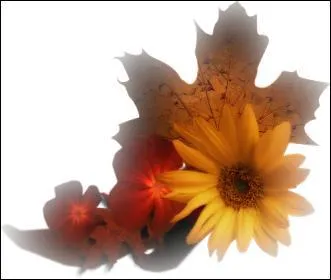 "Tacon". Vous préférez une vieille voiture à ce jeune saumon, alors remplacez la lettre...