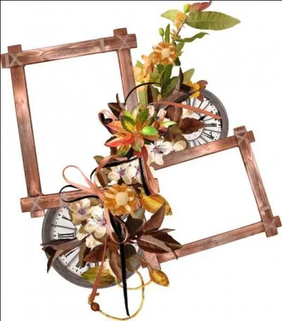 "Maceron". Jolie plante à fleurs jaunes mais c'est l'heure de goûter, alors remplacer une lettre !