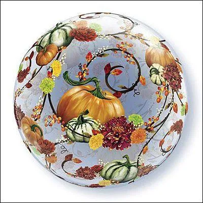 "Calamine". Trop de "calamine" sur le moteur entraîne un grand désastre si l'on remplace la lettre...