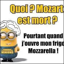 Un site, sur Internet, vous permettra, Messieurs, d'agrandir vos parties génitales. Après avoir dépensé 300 euros pour ce faire, que recevrez-vous par la poste ?