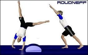 Aidez-vous de l'image pour répondre à la question. Comment s'appelle cela ?