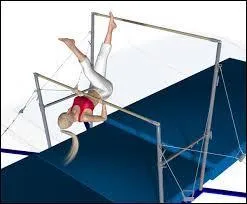 Regardez l'image et dites-moi de quoi il s'agit.