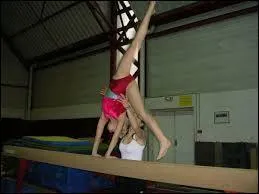 Vrai ou faux.
L'ATR est une roue.