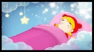 Quels animaux partagent le m&ecirc;me lit dans la for&ecirc;t o&ugrave; il fait nuit ?