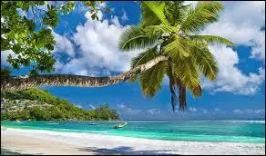 Quelle est cette chanson ? - J'ai du soleil sur la peau. J'ai dans le cur un bongo. J'ai dans la tête un oiseau...